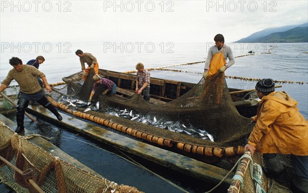 Fishing for salmon near the island of iturup, kuril islands, siberia, russia.