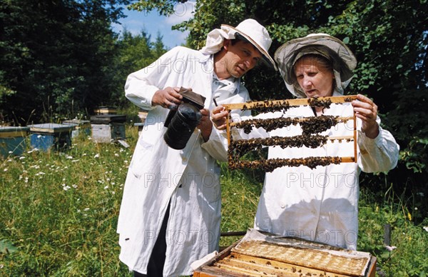 Beekeepers checking a hive in bashkiria, russia, 2003.