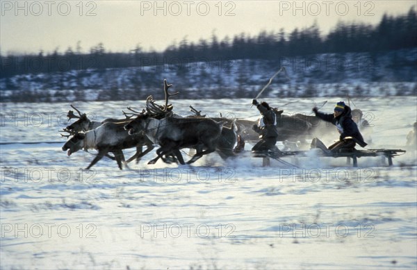 Yakut reindeer breeders during a reindeer race in yakutia, siberia, russia, 1990s.