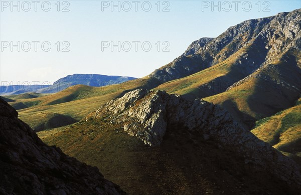 Eastern mountain meadows in kazakhstan.