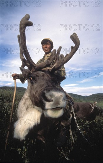A reindeer breeder riding on a reindeer in the republic of tuva, russia, november 1998.