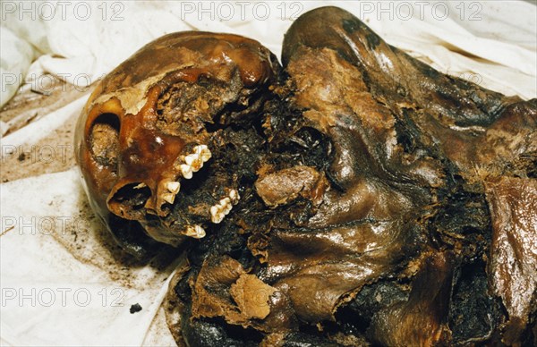 The mummified remains of a 2,500 year old scythian princess (known as 'black beauty') found frozen in the permafrost of the ukok plateau, pasryk region, siberia, russia, 1994.