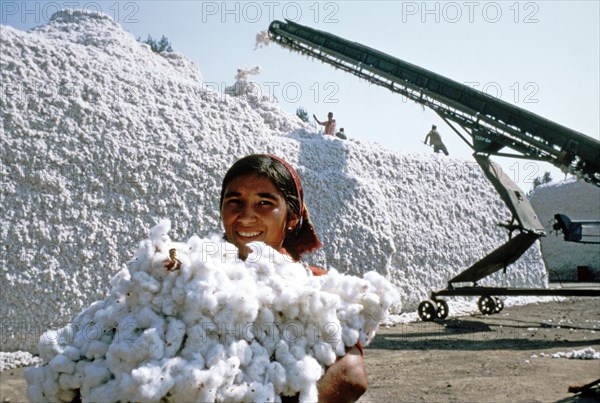 Uzbek ssr, 1982, cotton crop from the fields of the lenin state farm in the pap district.