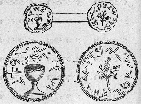 The Shekel