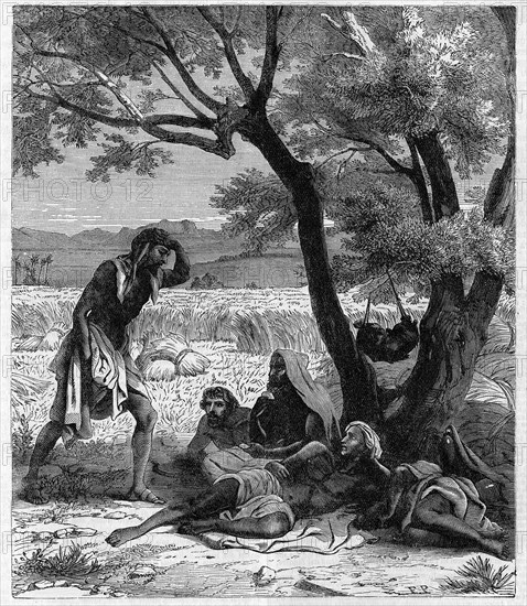 Religion The Holy Bible. Like a serve suspire in the evening