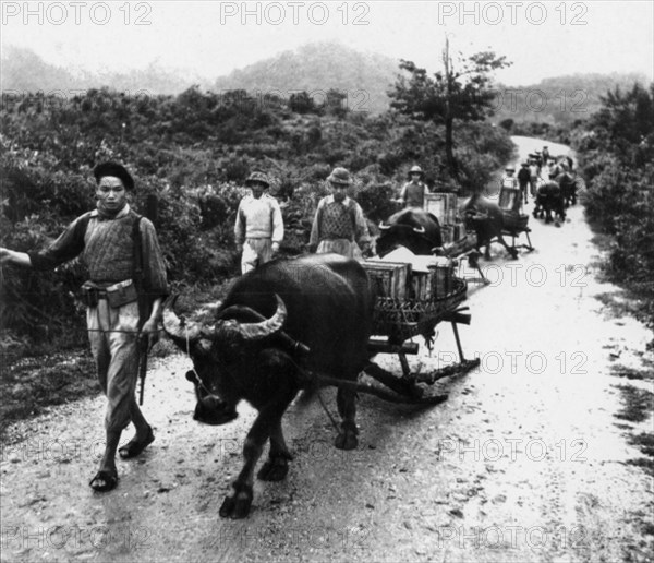 Dien Bien Phu transport