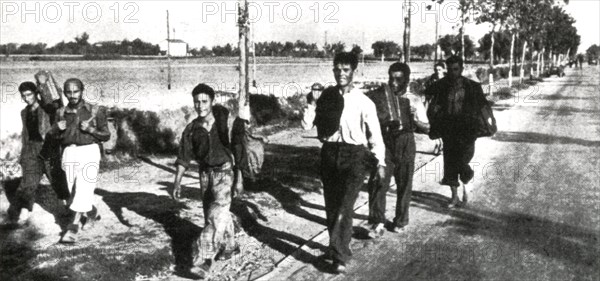 WWII in Italy 1943 Armistice Italian soldiers