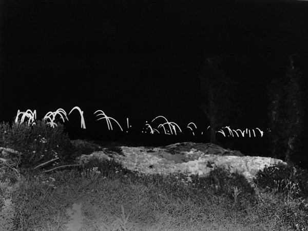 Night scene on the Battlefield at La Boiselle.