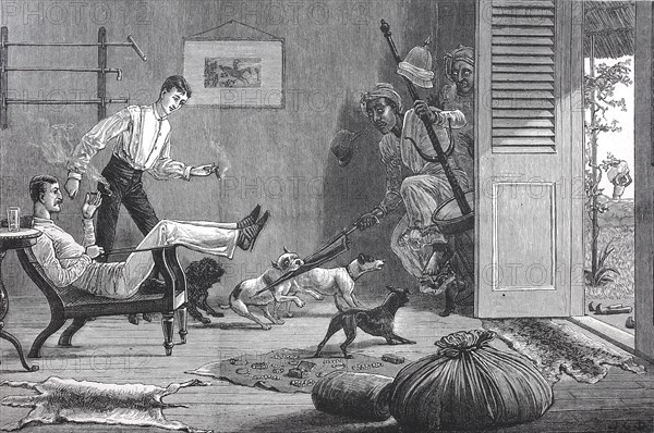 Dogs Attack Burglars