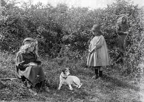 Glass Negative circa 1900