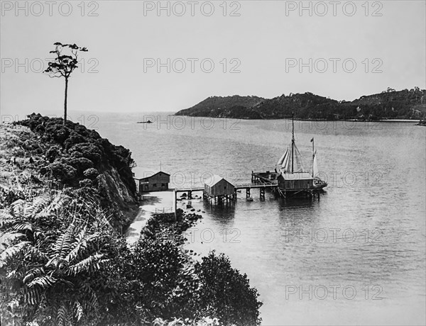 Glass Negative circa 1900