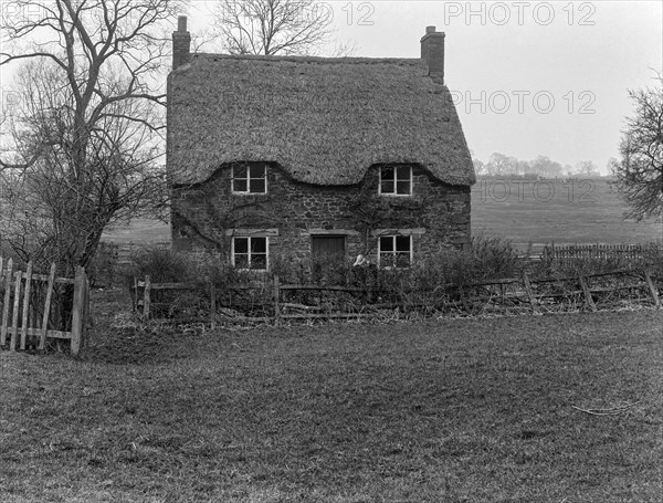 Glass Negative circa 1900