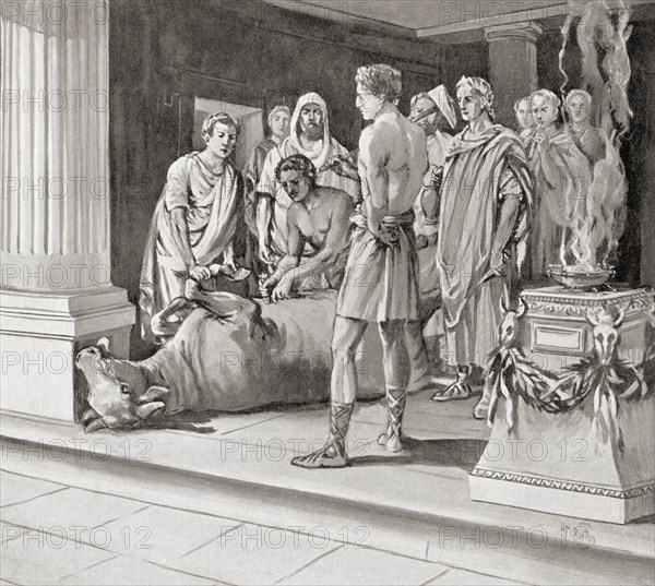 Auspices examining sacrifices