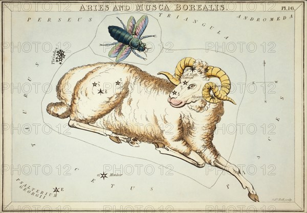 Aries and Musca Borealis