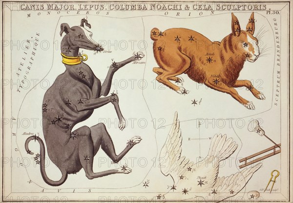 Canis Major