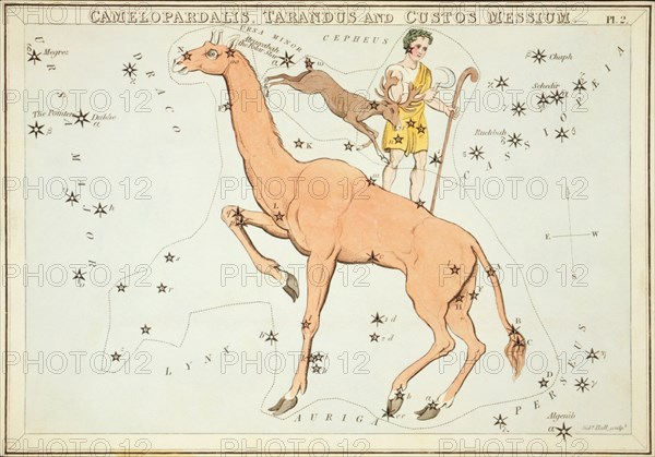 Camelopardalis