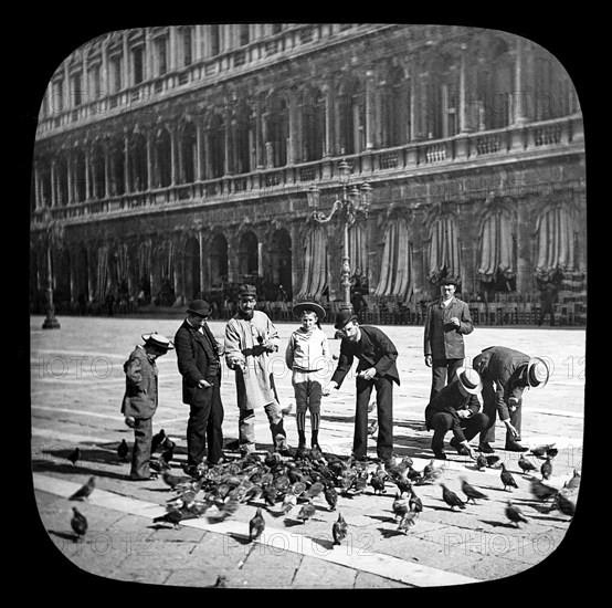 Feeding the pigeons in the Piazza of St. Mark's