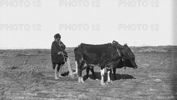 WW1 photographs in Iraq