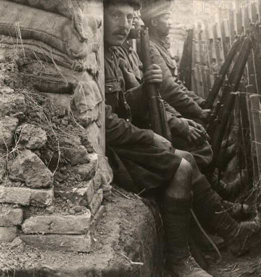 Stereoview WW1