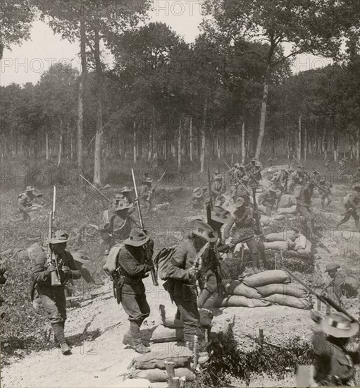 Stereoview WW1