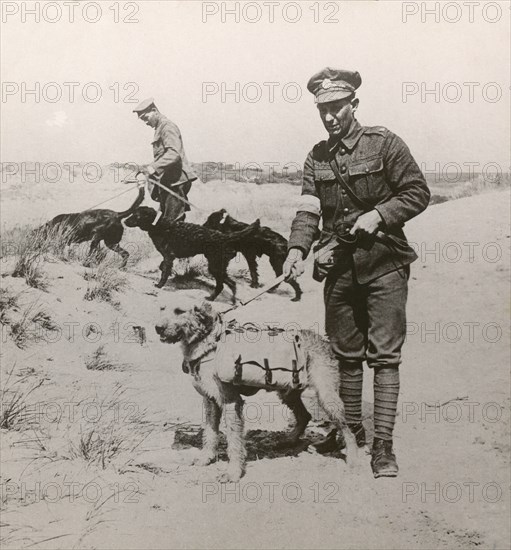 Stereoview WW1