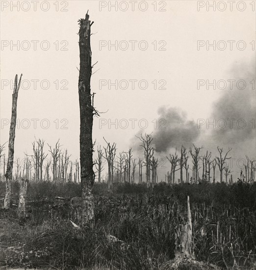 Stereoview WW1