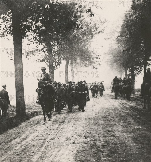 Stereoview WW1