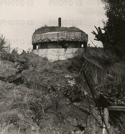 Stereoview WW1