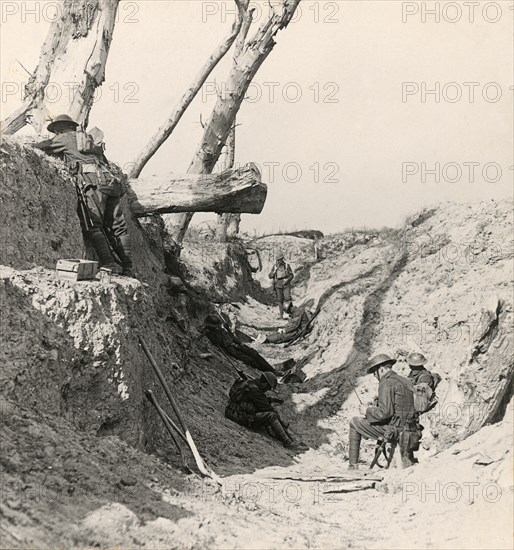 Stereoview WW1