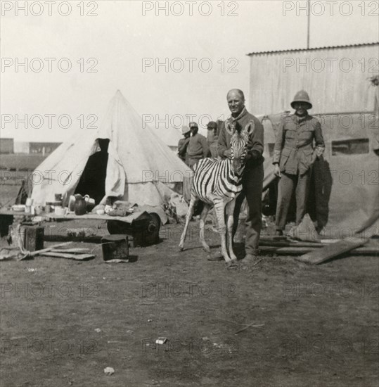 Stereoview WW1