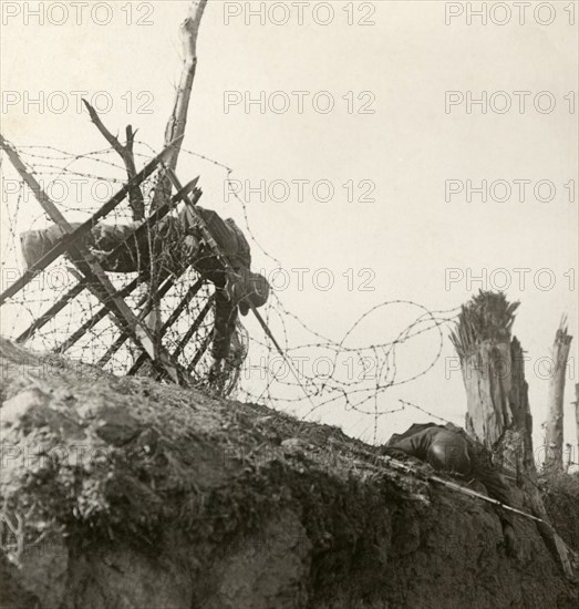 Stereoview WW1