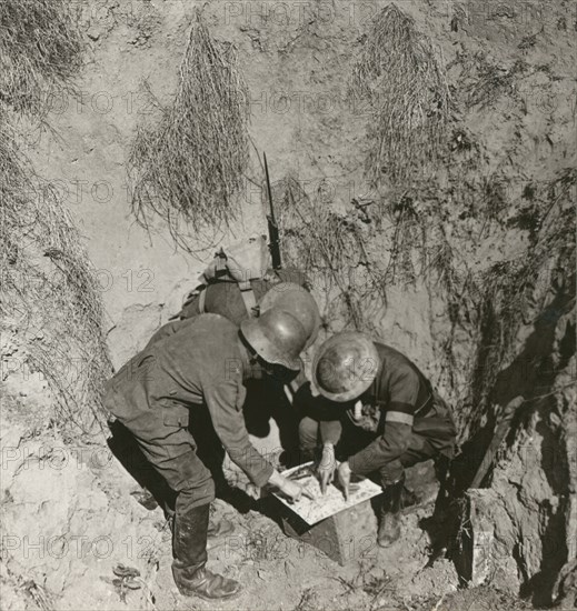 Stereoview WW1