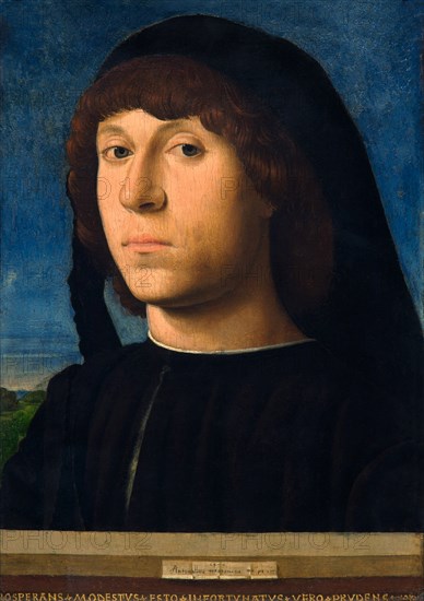 Ritratto di giovane