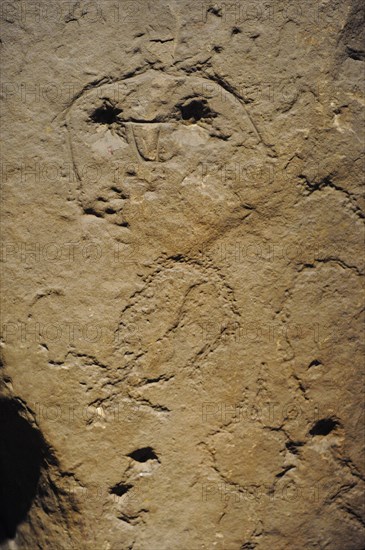 Idol of Corao, Detail