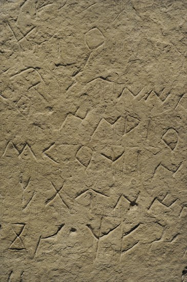 Tombstone with inscription in Levantine Iberian language and scripture, Detail