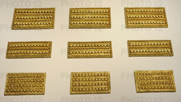 Treasure of El Carambolo, Golden plates