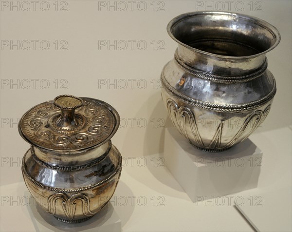 Treasure of Chao de Lamas, Vases