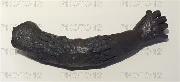 Arm from a human figure
