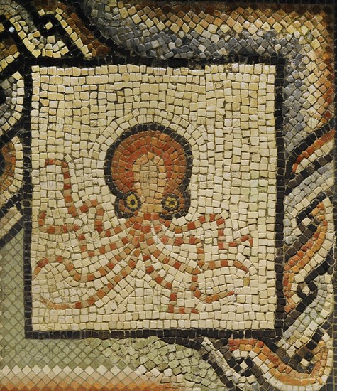 Mosaic depicting an octopus