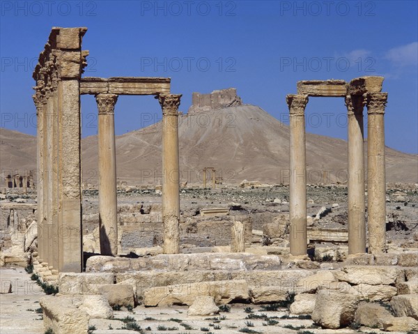 Columns of the Baths of Diocletian