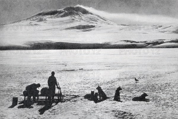 Dog sledge, showing Mount Erebus in the background,,