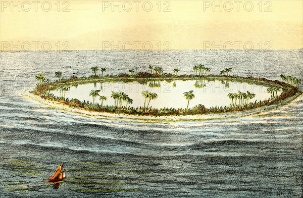 A coral island