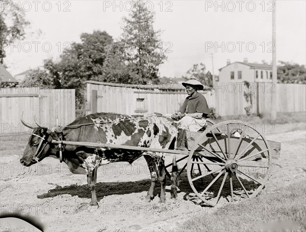 Mammy going to market