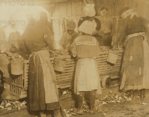 African American Boy works as an Oyster Shucker