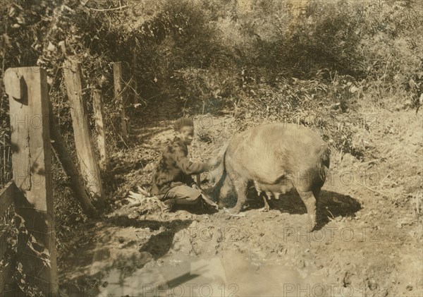 Boy & his Pig