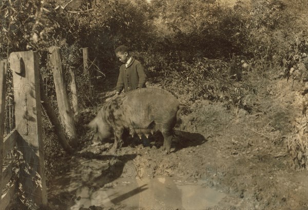 Boy & His pig