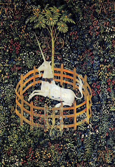 The Unicorn in Captivity