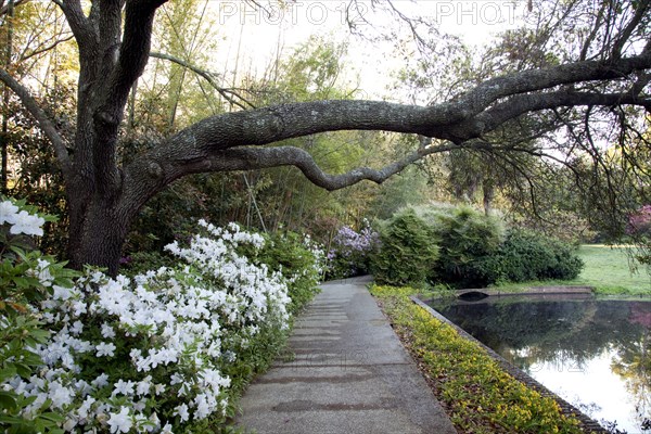 Bellingrath Gardens and Home