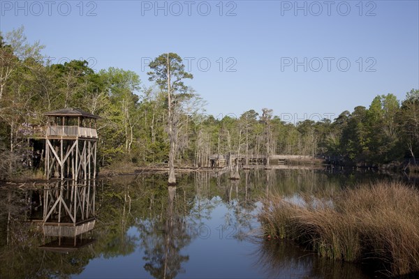 Bellingrath Gardens and Home