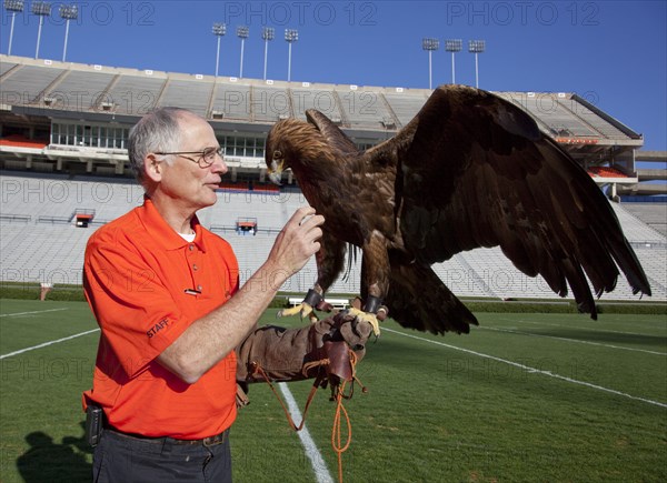 Auburn mascot Bald Eagle